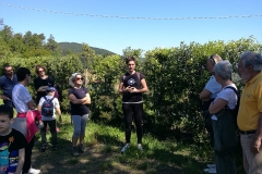 IMG-20190602-WA0008